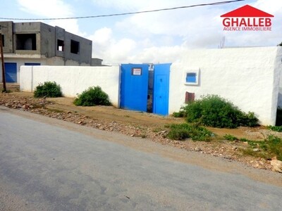 belle lot de terrain av a Hammamet seeif