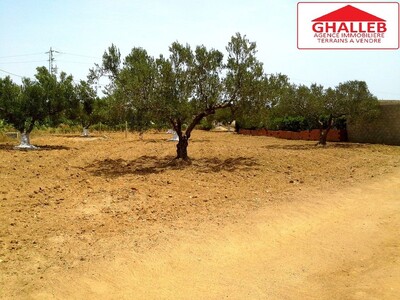un terrain a vendre a hammamet gg