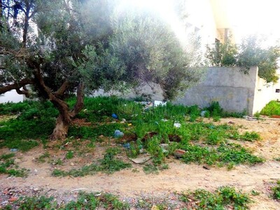 a vendre lot de terrain à birbouragba 10min de hammamet
