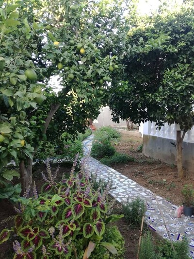 villa et studio dans une zone à cité kelibia