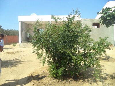 forssaaa maison de 900 à hammamet ne pas rater
