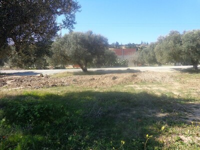 A v un lot de terrain à la compagne de Hammamet nord