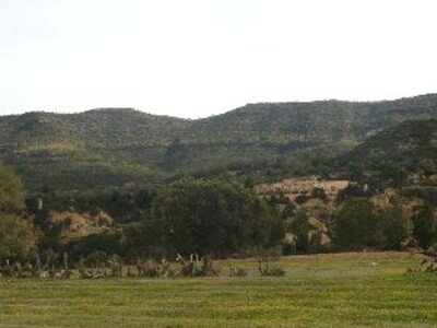 A vendre terrain agricole sise dans les haut de Hammamet à El Fawara