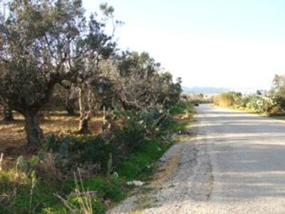Terrain Agricole Beni wael à vendre