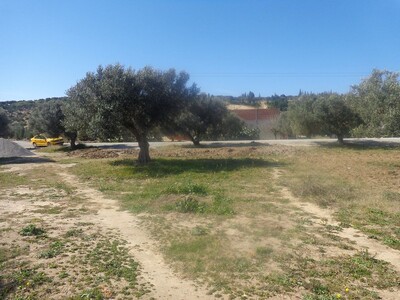 a v un lot de terrain à la compagne de Hammamet nord r