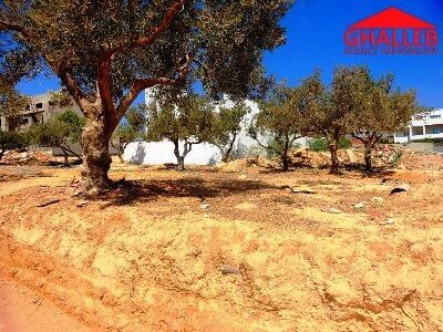500m entre mrezga et hammamet nord ad