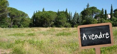 Ferme KOTON situé à DOUIKHLA Hammamet