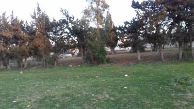 Vente une Ferme de 2 hectares à Soliman