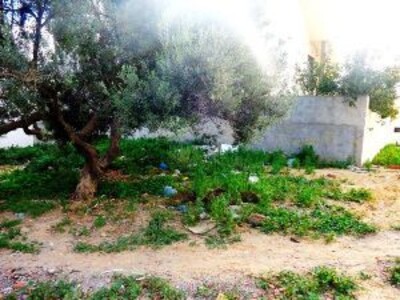 terrain 125m² à birbouragba AD