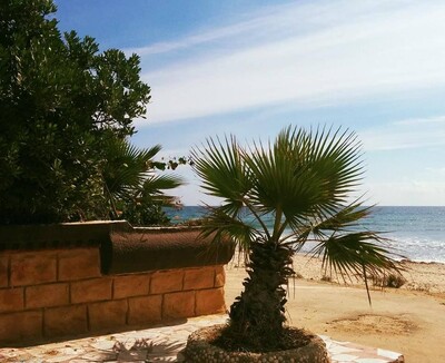 Bungalow DE SOLEIL	Réf: