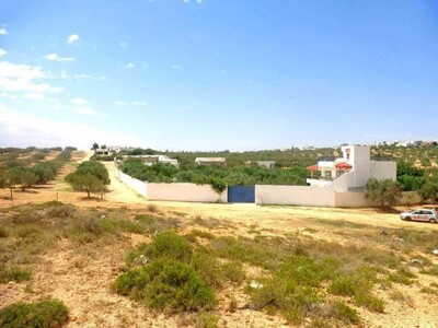 A vendre d’un lot de terrain à la compagne de hammamet 93
