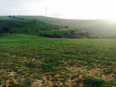 Un terrain de 2563 m² aux environs de Hammamet à 128 MDT