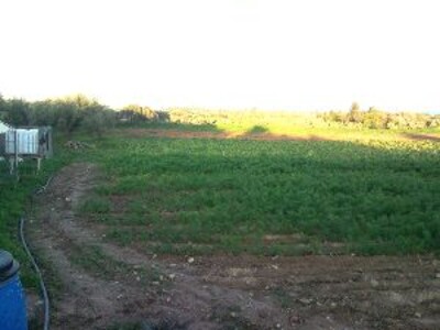 For sale agricultural land located on the heights of Tazarka with a view of sea