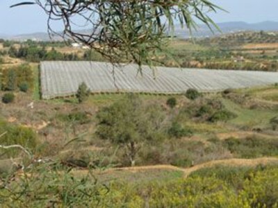 land agricultural acre somaa for sale
