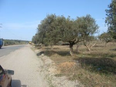 For sale agricultural land in an area of 4000 m² somaa.