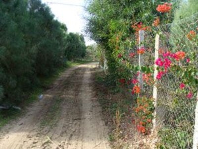 For sale agricultural land with an area of 3 hectares with title land individual