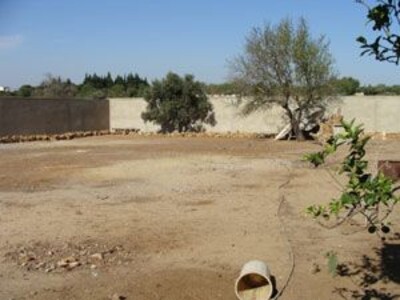For sale agricultural land in Hammamet with a surface of 1500 m²