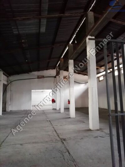 USINE CONSERVES TOMATES 7000 1 HA TUN NORD