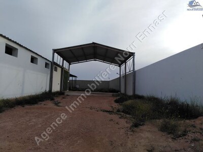 UNIT SHELLING NUTS 1182 SFAX