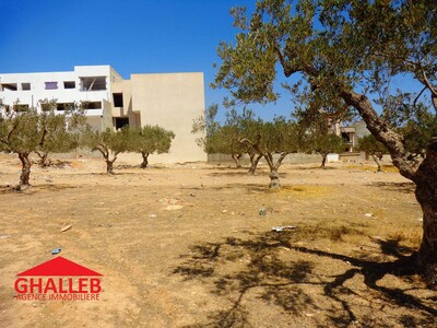 a vendre lot de terrain entre mrezga et hammamet 163