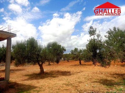 A vendre un lot de terrain à Barraket Sahel 213