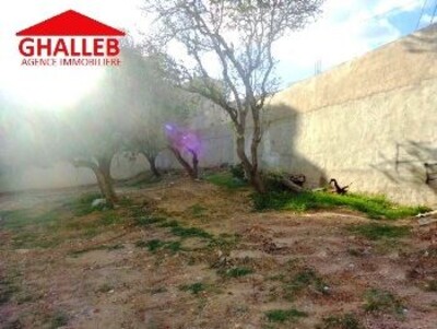 225m² sur la route face Carrefour AD