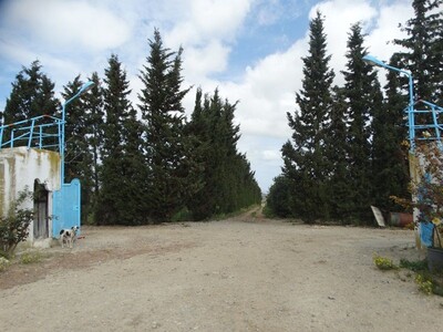 FARM BENI KHALLED NABEUL