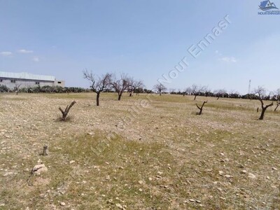 TERRAIN INDUSTRIEL 2998 SFAX