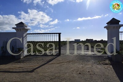 nouveaux lots à 5km de yessmine Hammamet