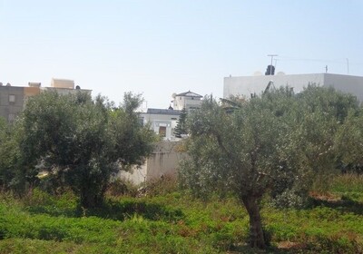 A v un lot de terrain 150m² pied sur mer hammamet