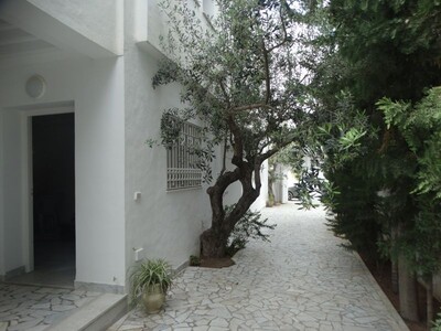 Appartement TAREK 2	Réf: