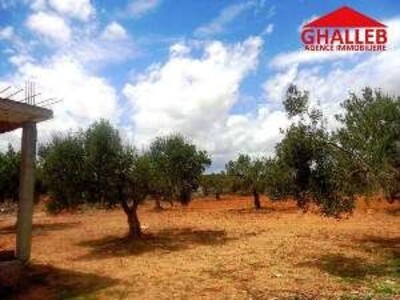 lot 677m² à manaret hammamet AD