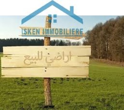 1 hectare a borj hfeidh nabeul avec titre bleu