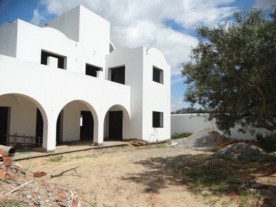 VILLA FROZEN à bir bourekba hmt