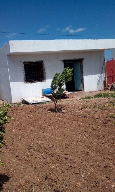 1 hectare clôturé et planté en face hammamet sud