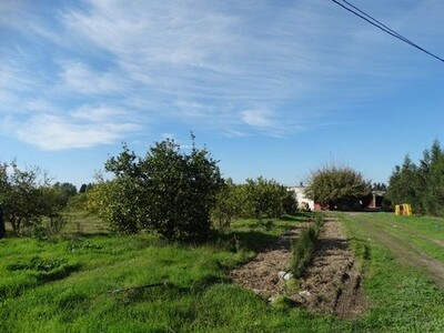 Ferme EL GOBBA	Réf: