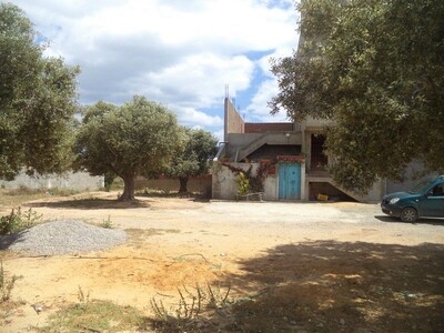 beaux lots de 200 à kharoub de bareket elsehel