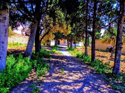 Superbe maison à Soliman