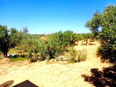 5773m ² manaret hammamet A D