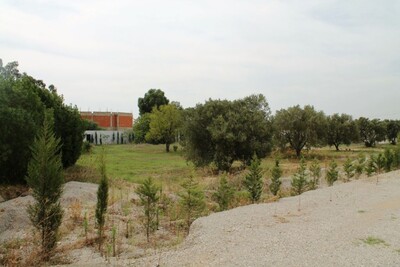 vente Terrain à Hammamet