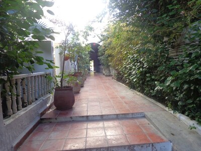 rent of the beautiful appartementements in hammamet