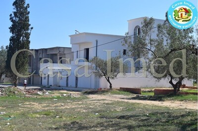 Superbe terrain à Hammamet Nord Mrezga
