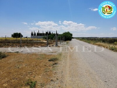terrain 15 min yessmine hammamet