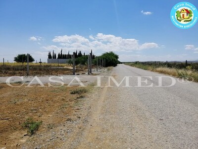 terrain 4 km à yessmine hammamet