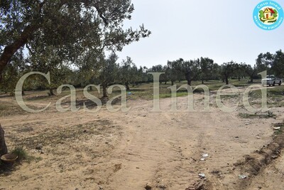 un superbe terrain zone touristique hammamet