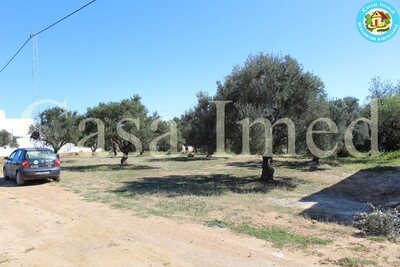 Superbe terrain 600m² à Hammamet Nord