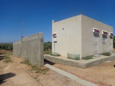 av un terrain a hammamet gh
