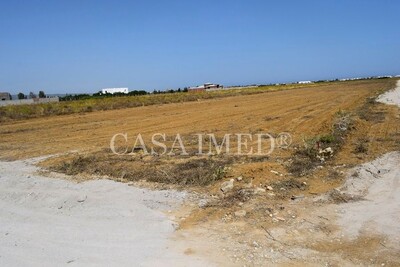des terrains à hammamet28910812