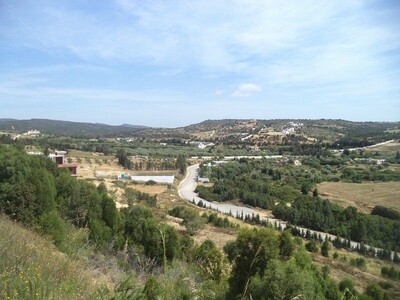 terrain de 1000 vue dégagé à hammamet centre ville