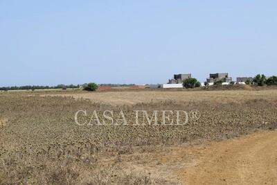 un merveilleux terrain à hammamet